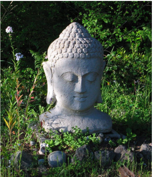 The Port Townsend Sangha Vipassana Meditation in Port Townsend